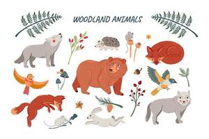 vector set van schattige bos dieren voor baby shower en kids design. verzameling bosdieren - beer, vos, wolf, konijn en vogels
