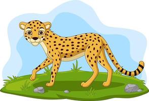 cartoon cheetah in het gras vector