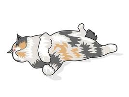 schattige kat catnaping illustratie grafische vector