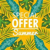 speciale aanbieding zomer, banner met takken en tropische bladeren, exotische bloemenbanner vector