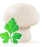 champignon champignon vectorillustratie vector