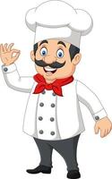 cartoon gelukkige chef-kok met ok teken