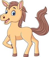 schattige baby pony cartoon geïsoleerd op een witte achtergrond vector