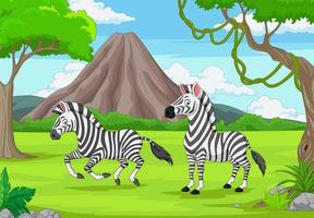 tekenfilm twee zebra's in de jungle vector