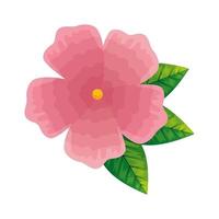 bloem roze kleur, lente concept op witte achtergrond vector