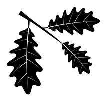 eikenbladeren zwarte omtrek silhouet vectorillustratie vector