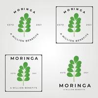 moringa oleifera set logo, wonderboom logo vector illustratie ontwerp, natuurlijke medische, een miljoen voordelen