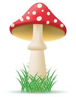 paddestoel amanita vectorillustratie vector