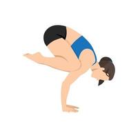 vrouw doet kraai pose bakasana oefening. vector