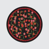 pizza vectorillustratie vector