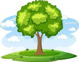 geïsoleerde boom in cartoonstijl met zomerwoord vector