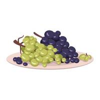 bessen van donkere en lichte druiven op tak liggen op plaat. zoete gezonde voeding, lekker dessert of snack. platte vectorillustratie vector