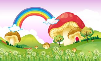 Paddestoelen in de buurt van de regenboog vector