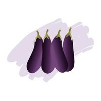 vectorillustratie van aubergines geïsoleerd op een witte achtergrond vector