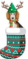 cartoon beagle in kerstsok vector