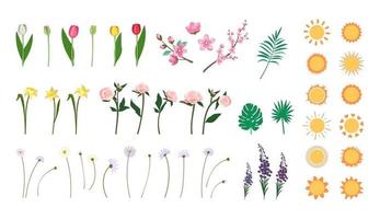 set van bloem, bladeren en zon icoon. delicate madeliefjes, pioenrozen, narcissen, kersenbloesemtak, tulpen en wilde bloemen. lentedecoratie en zomerelement van natuur en weer. vector illustratie