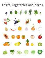 set pictogrammen groenten, fruit, bessen en kruiden voor salade, voedsel. ingrediënten voor vegetarische gerechten. gezonde levensstijl. bron van vitamine c. vector illustratie