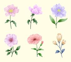 een set bloemen geschilderd in waterverf voor het maken van designerwerk vector