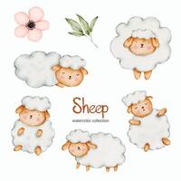 aquarel schapen pop object actief. baby speelgoed voeders set van dieren ram vector