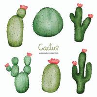 aquarel catus speelgoed object actief. baby speelgoed spullen set van cactus plant vector