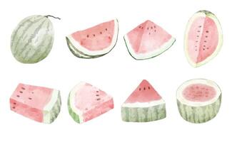 stuk watermeloen in vector aquarel stijl collectie.