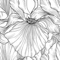 Naadloze bloemmotief. Bloem iris gravure achtergrond. vector