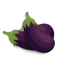 aubergine vectorillustratie vector