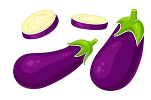 aubergine set. hele aubergine en in partjes gesneden. vector