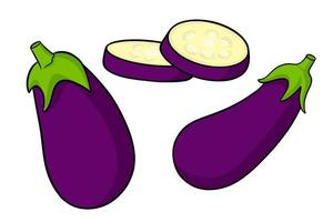 aubergine set. hele aubergine en in partjes gesneden. vector