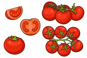 tomaten instellen. verse tomaten, tomaten op een tak, een wig en een half. vector