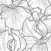 Naadloze bloemmotief. Bloem iris gravure achtergrond. vector