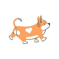 schattige corgi hond cartoon afbeelding. grappige wandelende puppy. vector