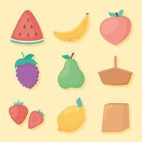 pictogrammen fruit eten vector