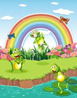 Drie speelse kikkers bij de vijver en een regenboog in de lucht vector