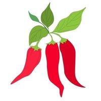 tak van hete rode chili peper in peulen. rijp fruit van groente, jalapeno peper. vector, specerijen en smaakmakers vector