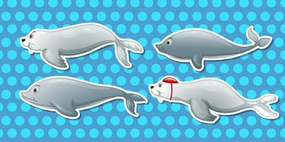 Otter en dolfijn vector