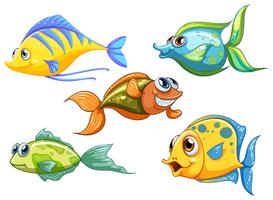 Vijf kleurrijke vissen vector