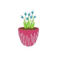 blauwe hyacinten in een frambozen keramische pot geïsoleerd op een witte achtergrondafbeelding. ontwerp van ansichtkaarten, bloemen bezorgen, sticker. vector illustratie