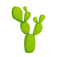 Cactus succulente installatie in cartoon stijl geïsoleerd op een witte achtergrond voorraad vectorillustratie. woestijn, decoratie van het wilde westen, ui-troef. clipart met details, textuur en naalden. vector illustratie