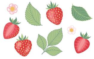 aardbeien set. vectorillustratie voor biologisch voedsel, fruit, boerderijmarkt, natuurlijk productconcept vector