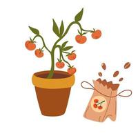 tomaten zaailingen. tuinieren, oogsten, planten. tomaten in een pot, verse groenten, zaden. tuinieren concept zomer en lente. cartoon vectorillustratie. vector