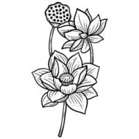 hand getrokken bloem lotus bladeren naturals geïsoleerde sticker zwarte botanische lijn kunst illustratie vector