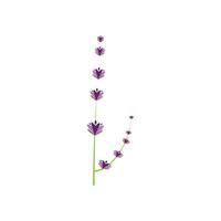 verse lavendel bloem logo vector plat ontwerp