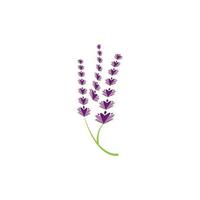 verse lavendel bloem logo vector plat ontwerp