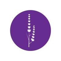 verse lavendel bloem logo vector plat ontwerp