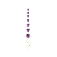 verse lavendel bloem logo vector plat ontwerp