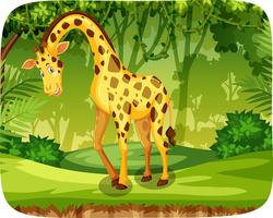 Een giraffe in de jungle vector