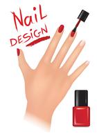 Nagellak ontwerp. Schoonheidssalon achtergrond. Dames hand vector