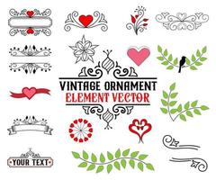 vintage ornamenten set bloemen elementen vector