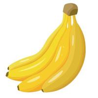 een tros rijpe bananen. vector